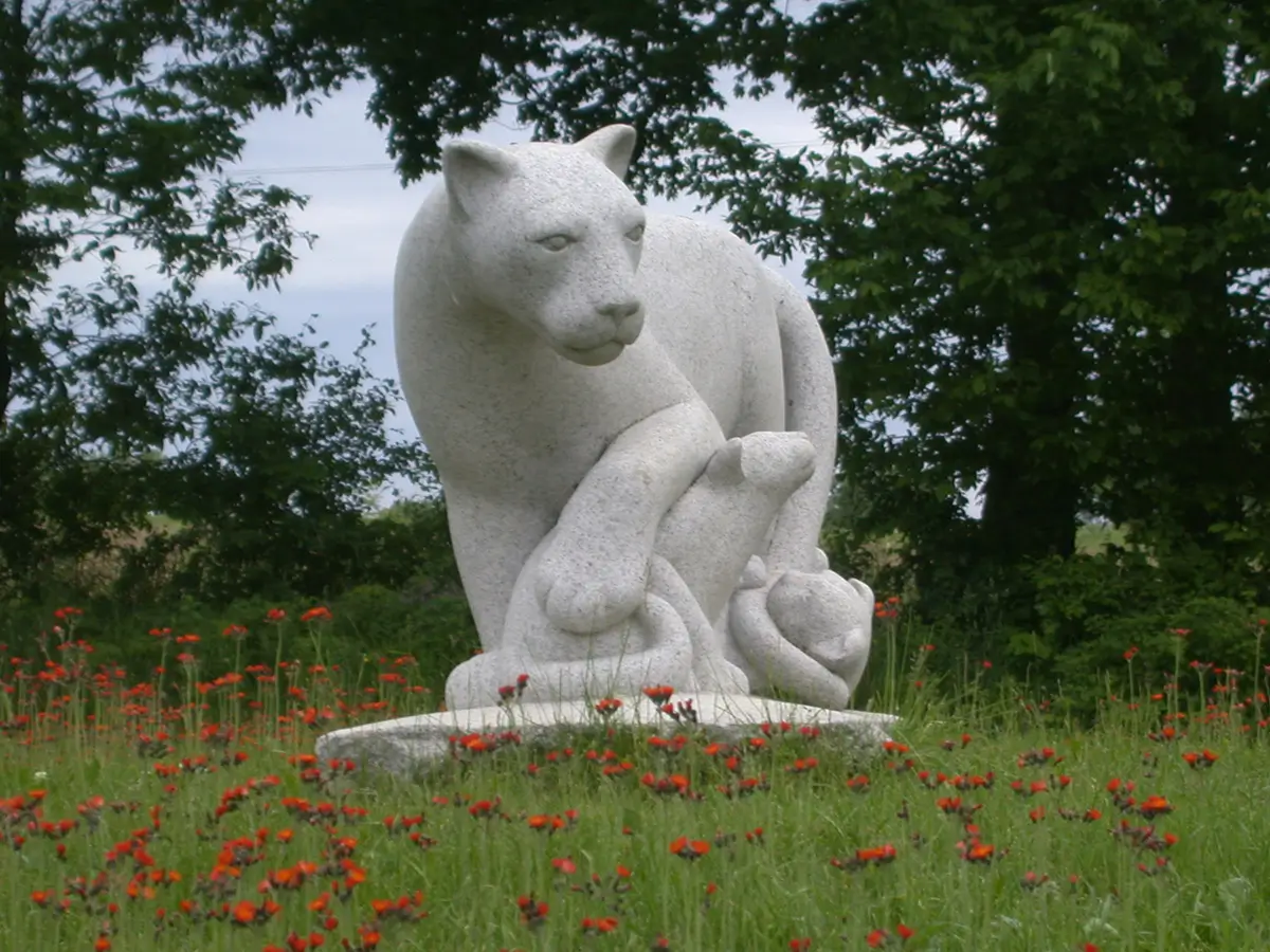 Braintree Panthers